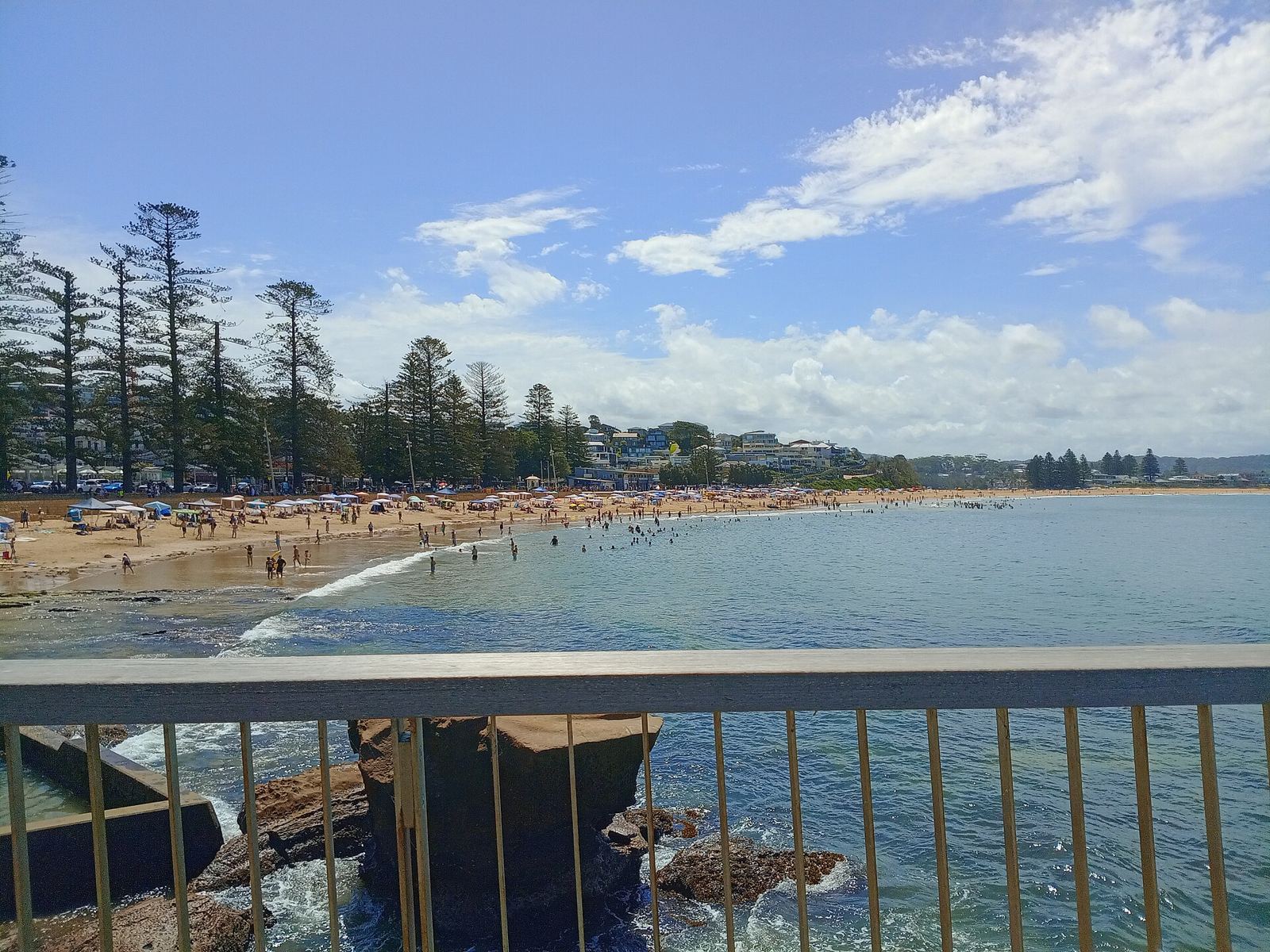 Terrigal Beach from the boardwalk, Norfolk pines lining the sand